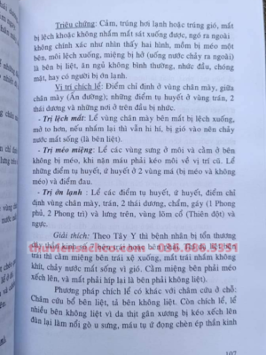Chích Lể Toàn Khoa - Nam Thanh Phan Quốc Sử